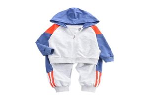 Frühling Herbst Kinder Sport Kleidung Baby Junge Mädchen Casual Kapuzen Jacke Hosen 2 Teile/satz Kleinkind Baumwolle Kleidung Kinder Trainingsanzüge 207525178