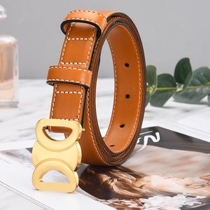 Womens 2.5cm Thin Belts Vacuum Electroplated Vintage Copper Buckle Waistband Designer Daily Outfit 4 Colours Skirt Strap Girdle Ladies Fashion Alloy Belts