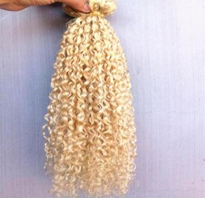 Neu angekommen, brasilianische menschliche Jungfrau-Remy-Clip-Ins-Haarverlängerungen, lockiges Haar, Schuss, blonde Farbe, 9 Stück mit 18 Clips347u7026869