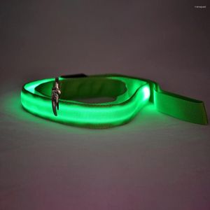 Kołnierze dla psów Widoczne bezpieczne świetliste USB ładowanie nylonowe