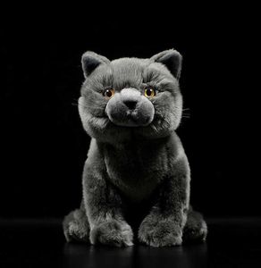Symulacja urocza brytyjska krótkowłosy kot Tabby Felinae nadziewana miękka pluszowa zabawka szara kotka prawdziwe zwierzę zwierzęta dla dzieci noworoczne prezent Q05551621