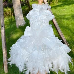 Dog Apparel Luxury Handmade Pet Clothes Pure White Feather Tassel Lace Bow Party Princess Dresses For Small Medium Puppy Outerwear