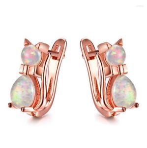 Hoop örhängen vit blå rosa lila opal söt liten kattdumty för kvinnor vintage ros guld silver färg djur örhänge3615240