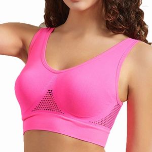 Yoga outfit Women Sports Bras Fitness Gym Running Underwear stockproof BH 5XL PLUS STORLEK CROP TOP BETABLE Sömlös nätkläder