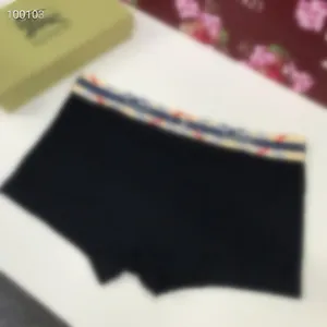 Underpants 디자이너 남성 복서 탄성 매끄러운 남자 속옷 단색 섹시한 음성 남성 통기성 남성 브랜드 복서 편안