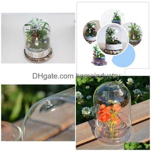 Vases 1set Glass Vase Hanging Terrarium Succens