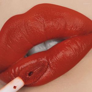 Lucidalabbra Rosso Rossetto di velluto opaco sexy 18 colori Rossetti liquidi impermeabili antitraccia di lunga durata Trucco coreano