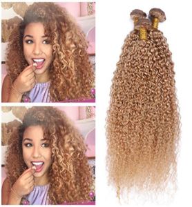 Kinky Curly 27 Honey Blonde Human Hair Weave Bundles 3Pcs Virgin Peruvian Human Hair Extensions Whole Strawberry Blonde Doubl1841736