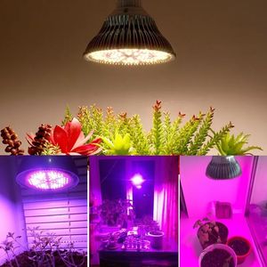 Sunshine Full Spectrum 281B 2835 E27 26W 85-277VAC GROW LAMP har 200 stycken lysdiga för svamp saftig växning