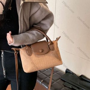 Borsa a tracolla per il tempo libero e minimalista per l'autunno e l'inverno 2023 Nuova borsa a tracolla da donna con texture di fascia alta Borsa alla moda e versatile