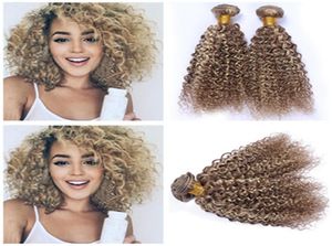 Kinky curly piano 8613 blandad färg peruansk mänskligt hårbunt affärer 3 st ombre ljusbrun blond piano mix färg virgin hår we2546543