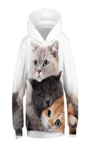 Modekatt hoodies teen flickor pojkar 3d tryckt huva tröja barn hoodie lös pullover höst barn kläder streetwear 2101157829233