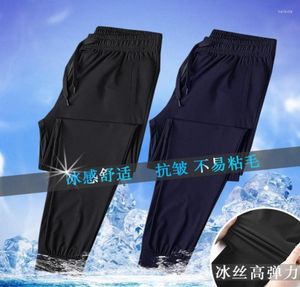Men039s Pants Ice Silk Casual Men39s Summer Thin Legged Elastic Sports Loose Quick Drying Trend Straight Tube6977734