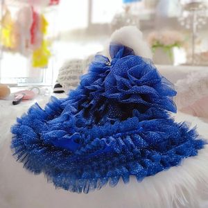 Abbigliamento per cani Vestiti per cuccioli Abiti da sposa in pizzo blu a coda lunga di lusso fatti a mano per cappotti per piccoli animali domestici Costumi Chihuahua barboncino