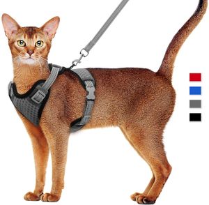 Katthund justerbar sele Vest Walking Lead Lash For Puppy Dogs Collar Polyester Mesh Harness för Small Medium Dog Cat Pet 240229