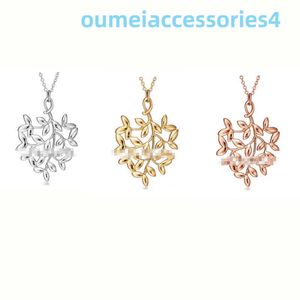 2024 Jewelry Designer Brand Pendant Necklaces Hot Selling 925 Sterling Silver Heart-shaped Leaf Gilded with Fashion Niche Collarbone Chain