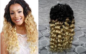 Brasiliansk mikroring 100g kinky curly micro loop hårförlängningar 100s mikro loop hårförlängningar mänskliga hårförlängning ombre3679225