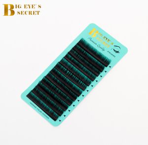 Big Eyes Secret Manufacturer Direct Supplies Individual Eyelash Trays Curl J B CL Top Quality Lashes Private Label Eyelash Extension3161400