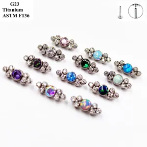 Studörhängen Luxury G23 Titanium Ear Nail Manufacturer levererade en mängd färg Zirkon och Opal Piercing smyckenben