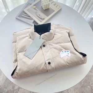 卸売りの有名な男性のデザイナーグースダウンベストファッションコートポケット装飾冬コートパーソナリティ冬のコート11a84
