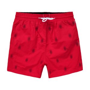 Shorts 2024 män sommar simma shorts ralphs krig häst broderi andas strand laurens kort polo snabb torr surf mesh tyg kort