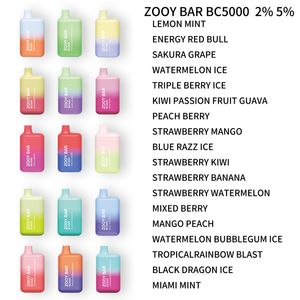 Zooy Bar 5000 Puff 2024 Hot Seller Einweg-Elektronikzigaretten Großhandel Mesh Coil
