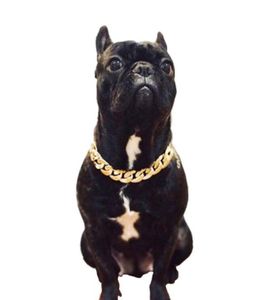 Pet Dog Necklace Cellars tjock guldkedja Pläterad plastidentifierad säkerhetskrage Valphundar levererar hundtillbehör6269633