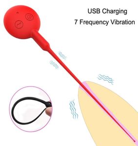 Massaggio USB ricaricabile spina uretrale catetere uretrale vibratore del pene inserimento sonoro cazzo catetere di castità pene giocattoli del sesso per M6900984