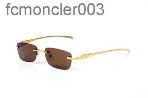 Clear Frame Sunglasses Designer Glasses Vintage Women Men Brand Design Summer Shades Colored Lenses Alloy Eye New Leopard Fashion Come with Origina Box JCR6