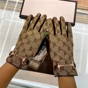 Kobiet projektantki rękawiczki z rękawiczką z pudełkiem zimowe luksusowe prawdziwe marki skórzane duże palce rękawicy ciepłe kaszmirowe ekran dotykowy