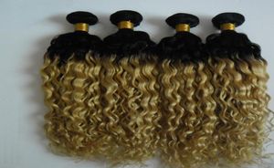 4PCS Blonde Brazilian Kinky Curly Ombre Hair100 Human Hair Bundles T1B613 Brazilian Hair Weave Bundles Non Remy Extension Doubl6645525