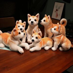 Lifelike Akita Dog Stuffed Animal Plush Toy Cute Simulation Puppy Shiba Inu Fluffy Appease Baby Doll Birthday Gifts For Children 240308