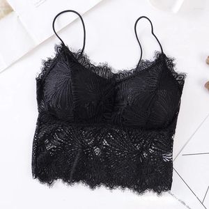 Bras Ladies Thin Strap Lace Beauty Back Wrap Breast Tube Top No Steel Ring With Chest Pad Bottoming Camisole Sexy Full Cup Lingerie