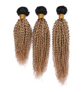 Fasci di tessuto capelli umani indiani ricci crespi biondo miele Ombre 3 pezzi 300 grammi 1B27 Trame di capelli Ombre marrone chiaro con radice scura Crespo Cu3281172