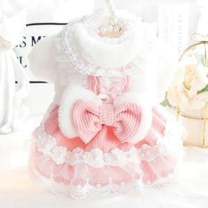 Abbigliamento per cani Abito da principessa per animali domestici Inverno Autunno Gonna di moda Piccolo maglione caldo Gatto Desinger Vestiti Giacca per cuccioli Barboncino Yorkie Maltese