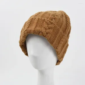 Berretti 2024 berretti caldi cappello invernale da donna berretto twist solido versione coreana femminile paraorecchie da uomo in maglia