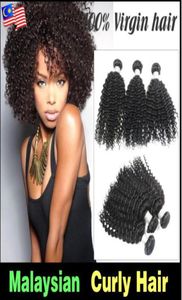 Cała fabryczna mieszanka długość 12quot28quot malezyjskie dziewicze włosy Kinky Curly Wave Nieprocedowane rozszerzenie 50GPCS 11450184