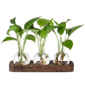 VASE PLANTS PROPAGATION STATIONS GLASE VASE STATION RETRO PLANT TERRARIUM WHODE WOODED TRAY BULB FLOWER HOME OFFIRER