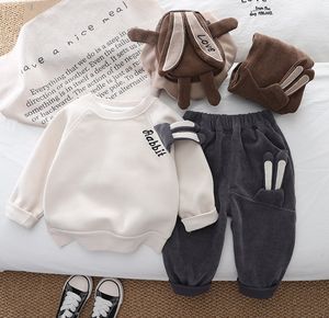 Little Boys Stereo Rabbit Ear Clothes Set Toddler Kids Letter Brodery Sweatshirt Casual Pants 2st 2024 Spring Children Sports Outfits Z7034