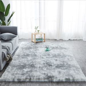 Szary dywan farbowanie Pluszowe miękkie dywany do salonu sypialnia antypoślizgowe maty podłogowe sypialnia w wodzie wchłanianie dywanów 211V