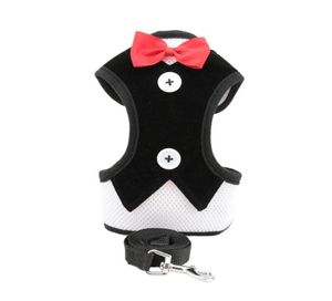 Set di pettorina e guinzaglio per cani di piccola taglia Pettorina per gilet per gatti con rete bowknot imbottita per cuccioli di piccola taglia4598561