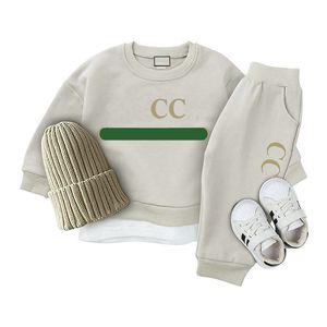 High Quality New In stock Designer kids Clothing Sets Baby boys girls Sweater suit Tops pants two-piece 2 styles