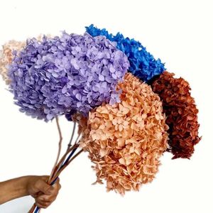 1520cmヘッドロング35cmreal天然乾燥保存されたアジサイの花の枝は、ホーム用の多語のバラの乾燥アジサイを備えています240223