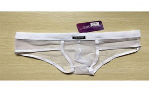 UNDUPTS COCKCON TÜMLÜK ERKEKLER SEKSİ ÇARAYI FILLET BISHNET ERKEKLER NYLON KIL KESH MALİ KULLANIM PANTIES PANTIES PANTITE CUECAS ENDERPANT3091220