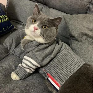 Abbigliamento per cani Abbigliamento per gatti Autunno Inverno Maglione Cardigan Moda inglese corto blu Teddy Chenery Pet
