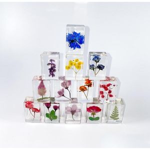 Science & Discovery Pressed Flower Paperweight Science Disery Real Flowers Specimen Collection Samples In Resin Paper Weights Cube For Dhw43