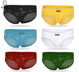 Underpants Mens Sexy Underwear Briefs Shorts Polyester Sheer Brief Gay Penis Pouch WJ Mesh See Through Bikini1467019