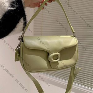 Designer Baghandbag Crossbody Bags Balck Grey Cream Pink Cross Body Soft Handbags Mini Tabby Pillow 26cm Purses for Women Leather Bags Pink Green Black