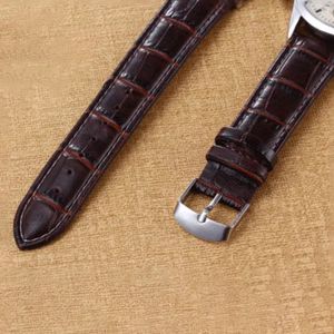 PU Leather Watch Band 20mm 22mm 18mm Watchbands Watchbands Stain Resistant Black Brown Wristwatch STRAP Associors 240301