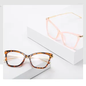 Sonnenbrillenrahmen Cat Eye Brille Klarer Rahmen Frauen Mode Transparente Brillen Weibliches Spektakel